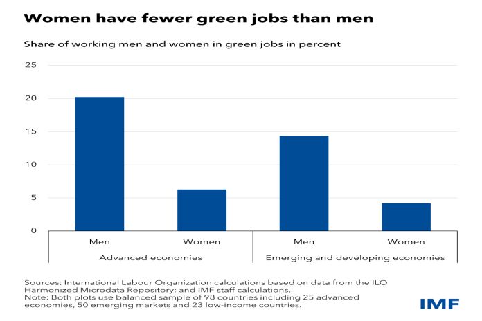 imf_women-jobs