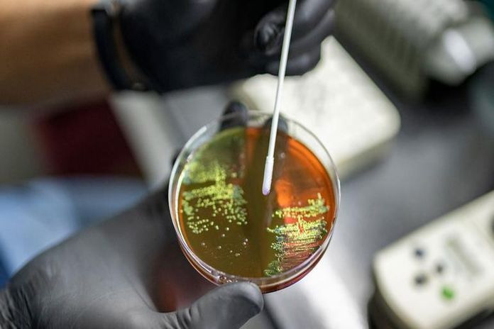 who_superbugs