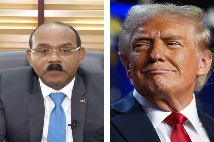 browne_trump