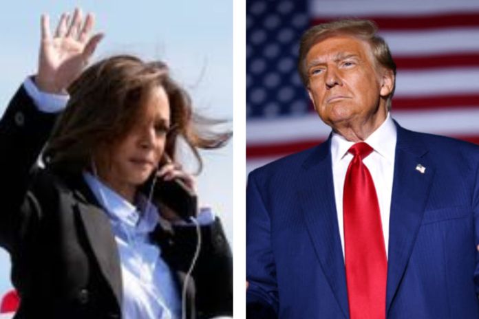 harris_trump