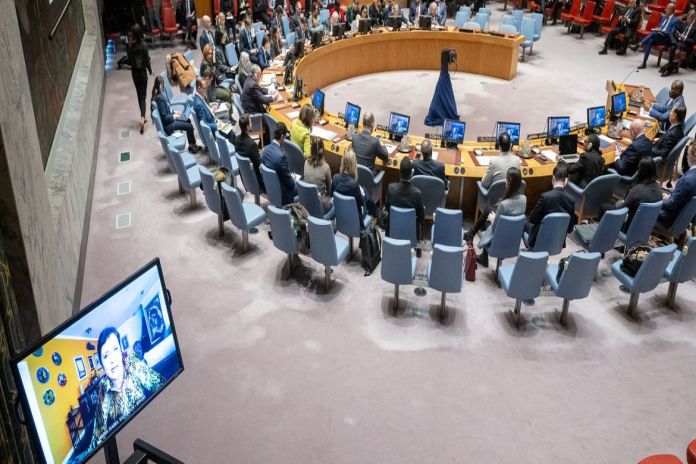 UN_Security Council