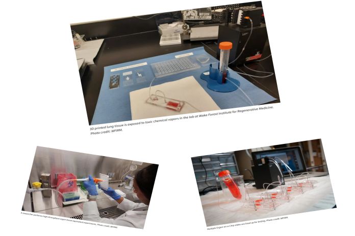organ_chip