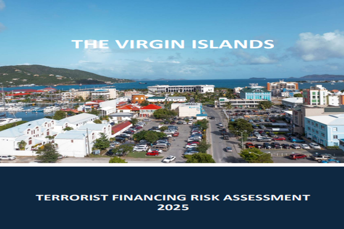 bvi_risk_2025