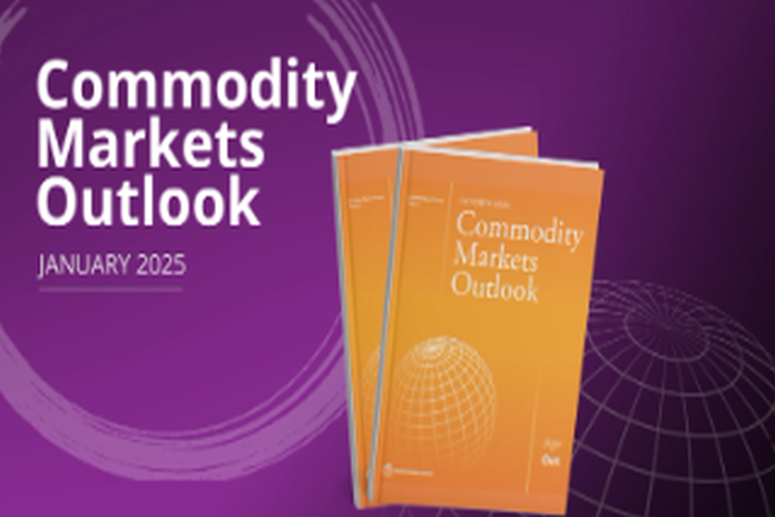 commodity_outlook