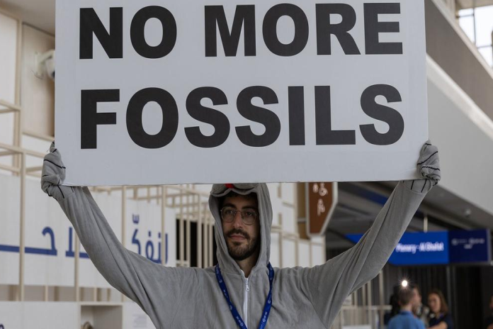 fossils