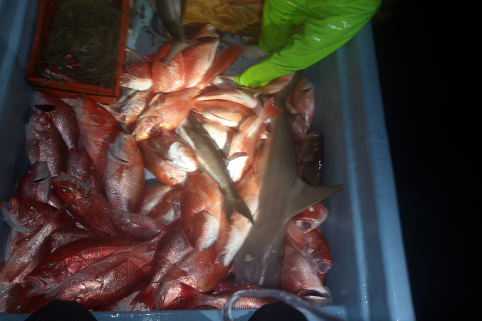 illegal_ fishing