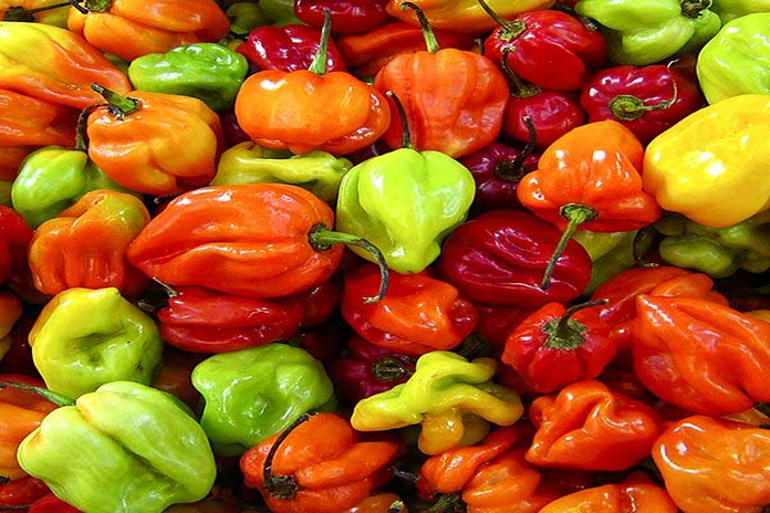 jamaican_red-pepper