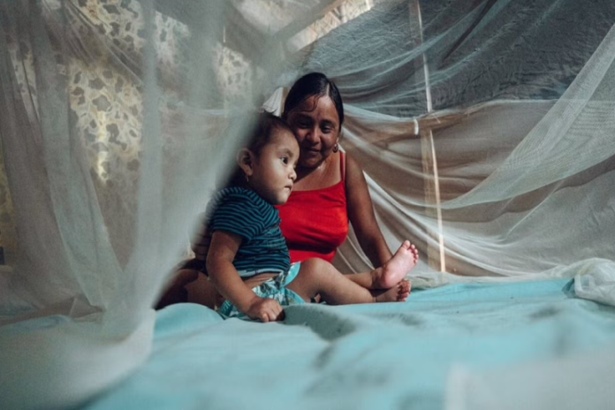malaria