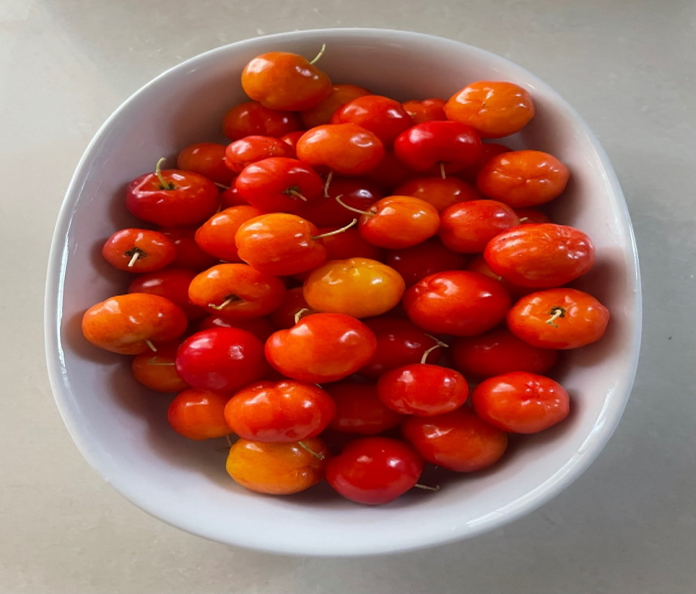acerola_cherries