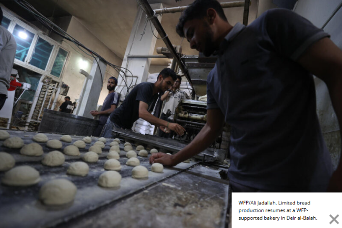 bread_gaza