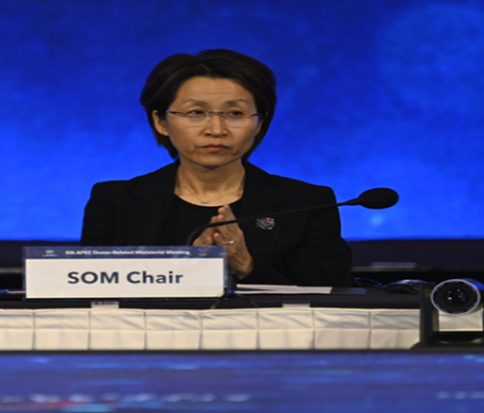 som_chair