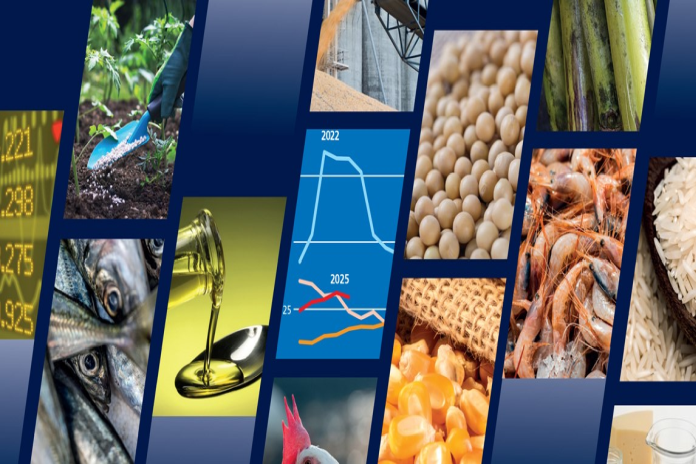 fao_food-outlook