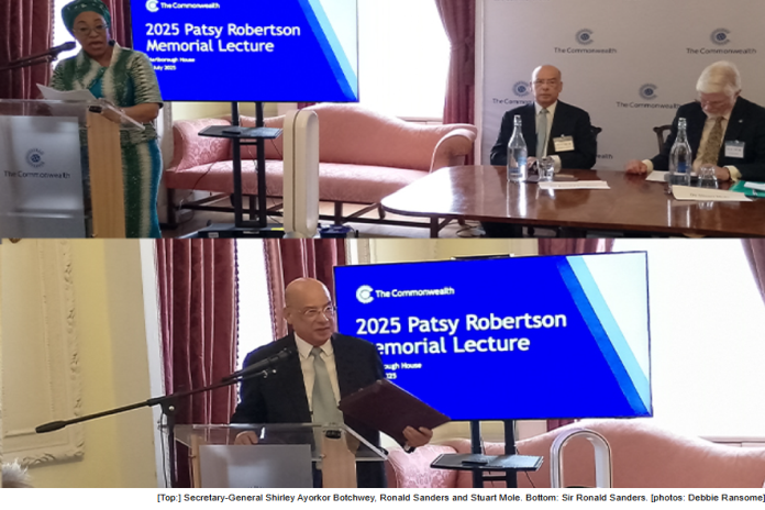 2025_patsy robertson lecture