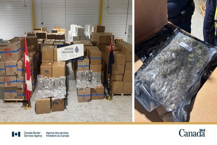 cbsa_cannabis-st-john