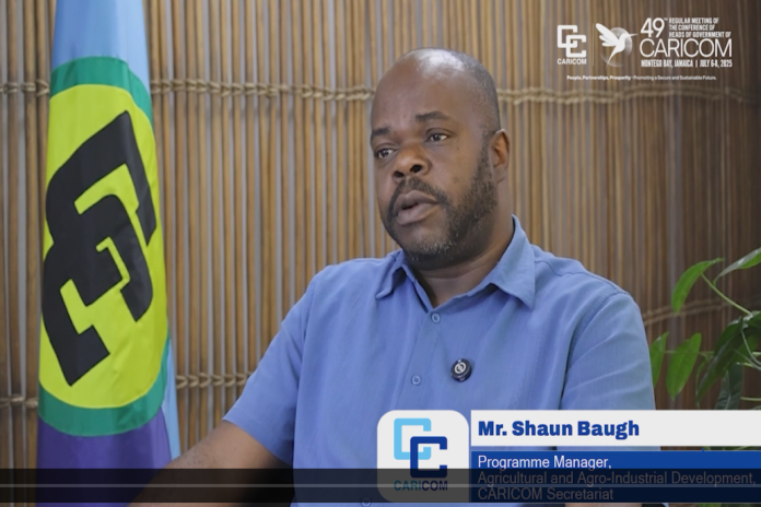 shaun_baugh