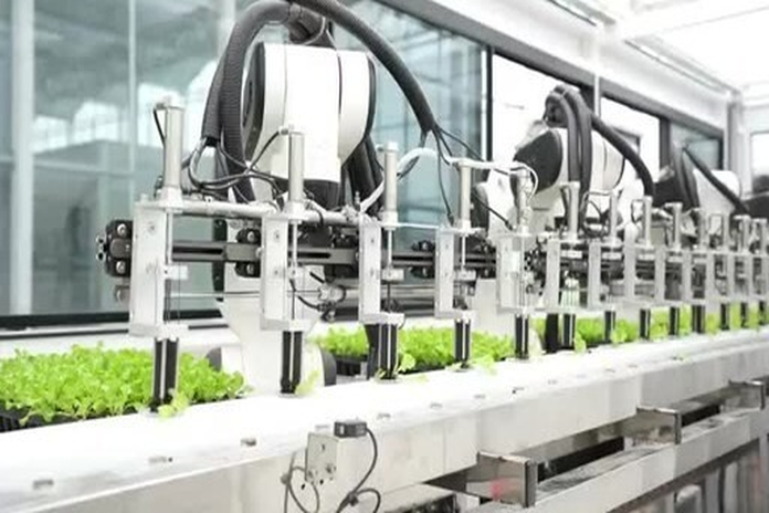 veg_planting