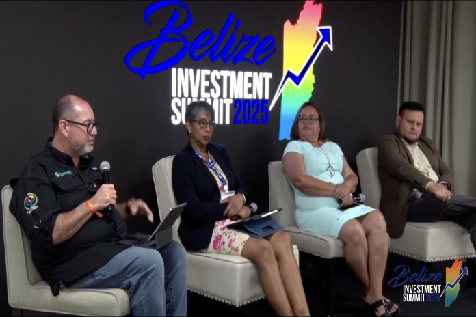 MBEMC _Belize Investment Summit 2025