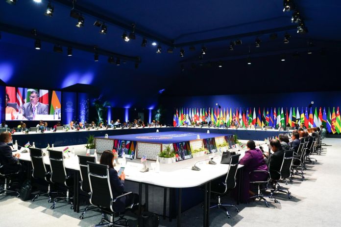 cfmm_2025