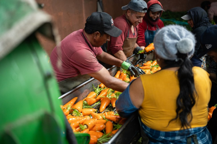 ecuador_iom