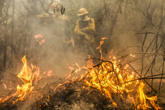 firefighters_brazil