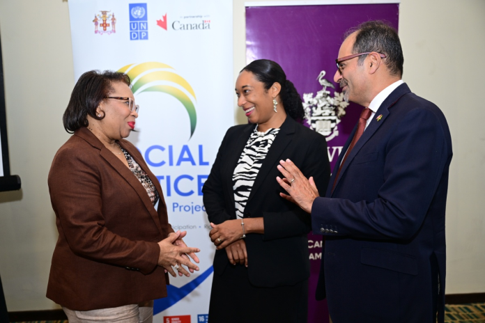 undp_ja-justice