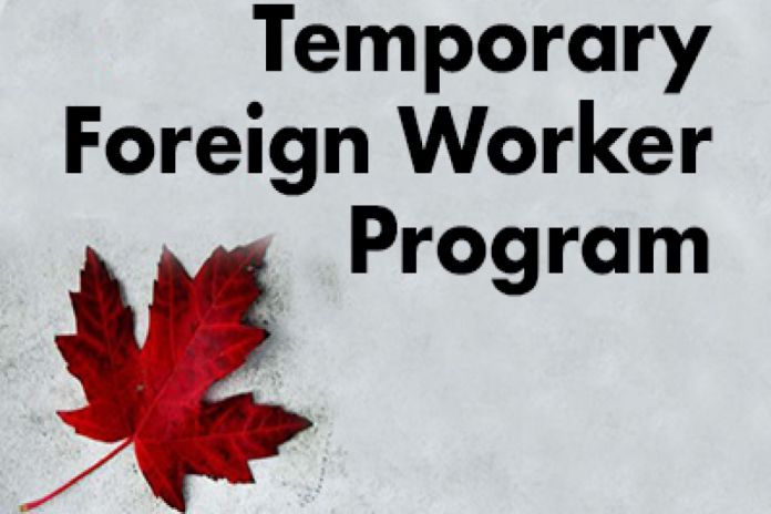TWF_program