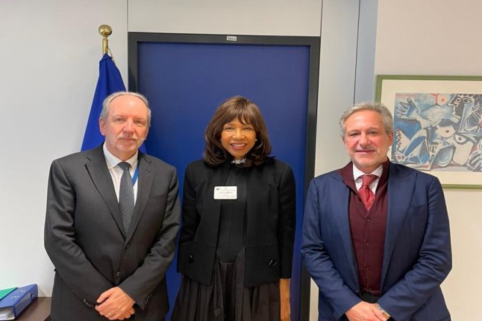 eu_bvi-brussels
