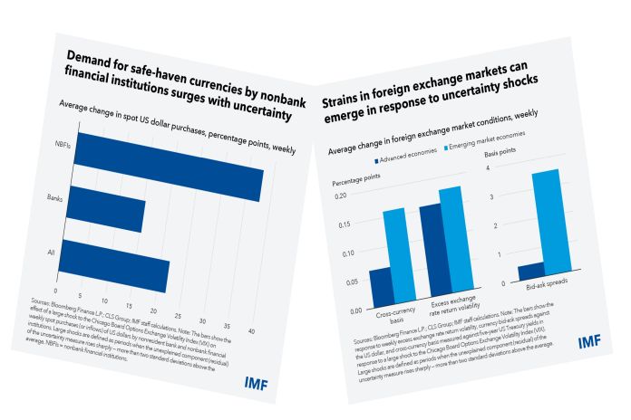 imf_foreign-exch-mkt