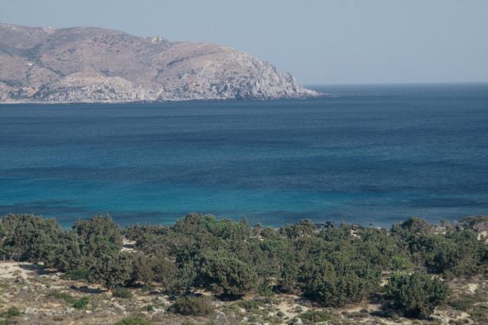 mediterranean