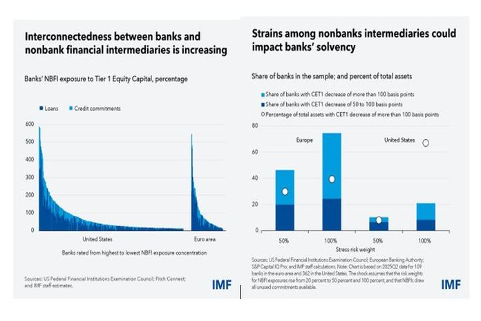nonbanks_imf