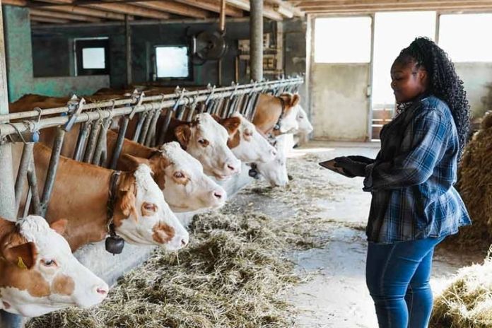 african_farmer