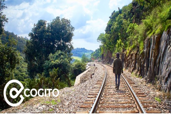cogito_resources