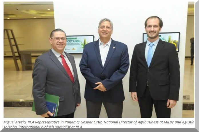 IICA_BIOFUELS