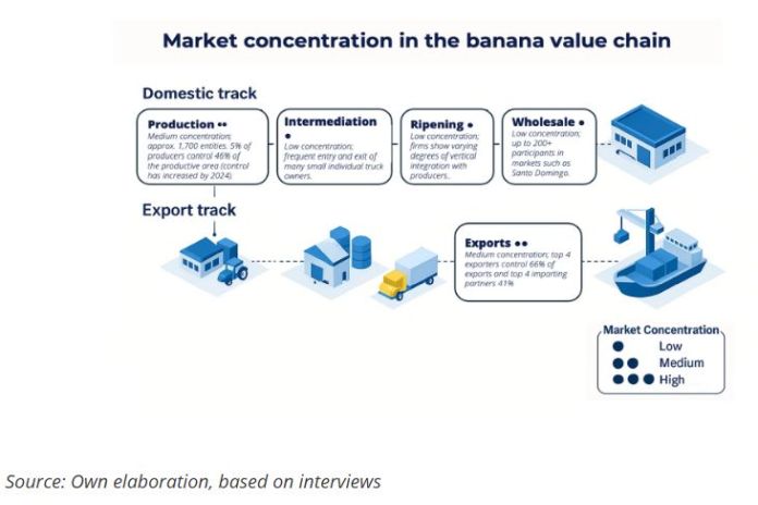 banana_value-chain
