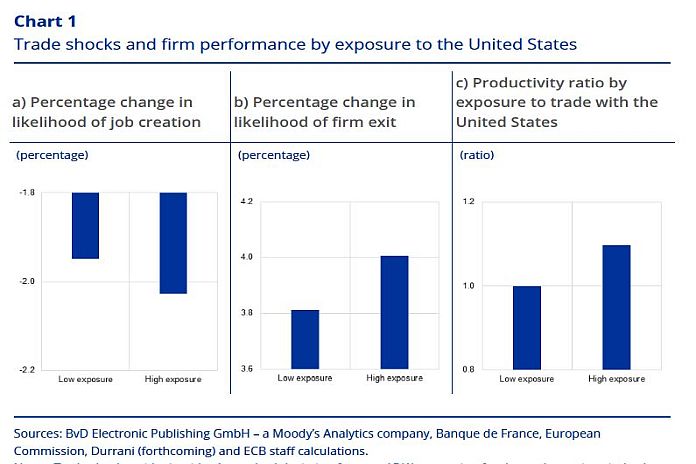 eu_trade_shocks