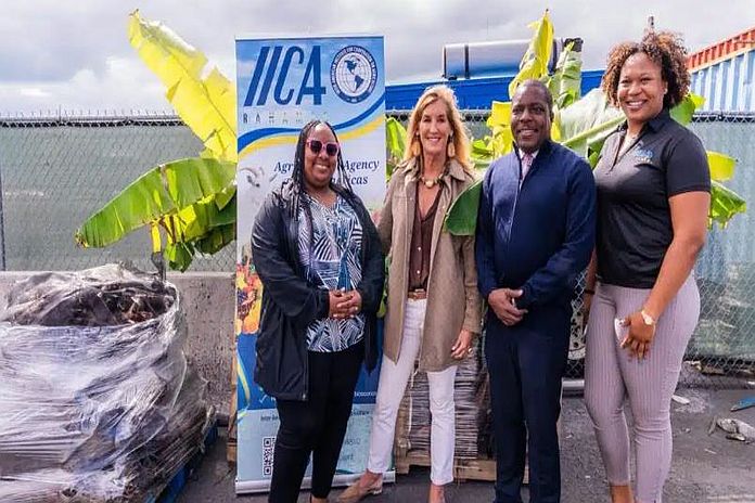 iica_bahamas