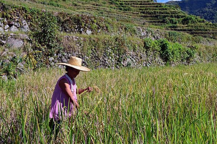 woman_farmer