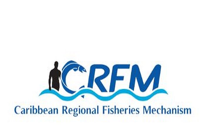 crfm696