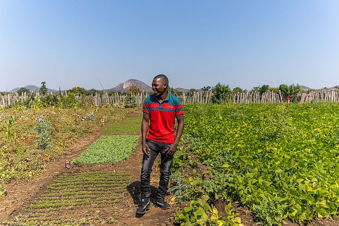 MOZAMBIQUE 2025.  Agricultural Recovery Amid Drought