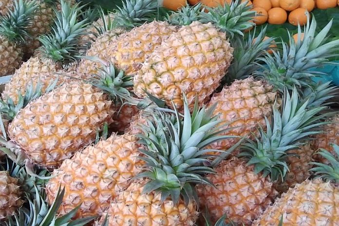 taiwan_pineapple