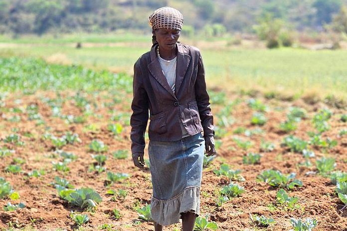 farming_conditions