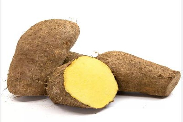 YAM-2