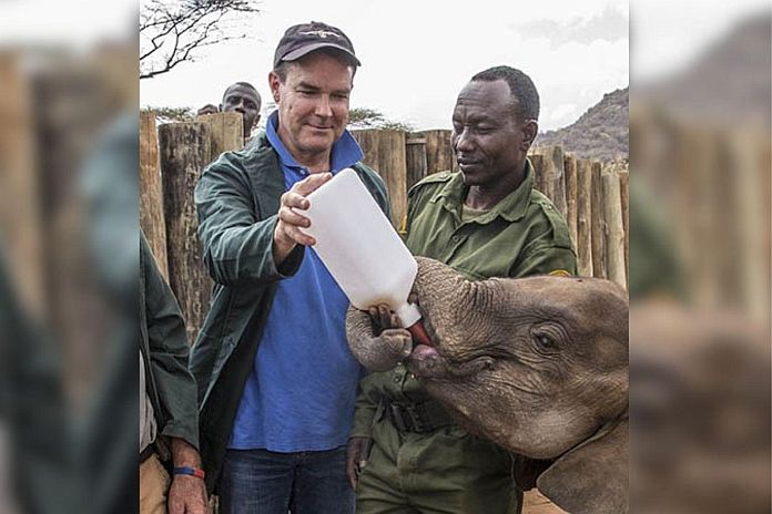 feeding_elephant