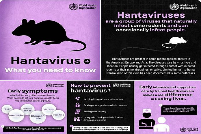hantavirus