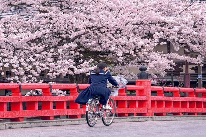 japan_labour
