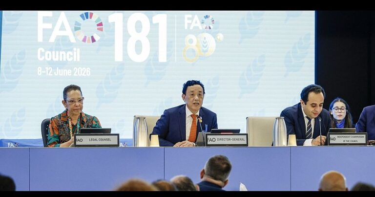 FAO_181council3