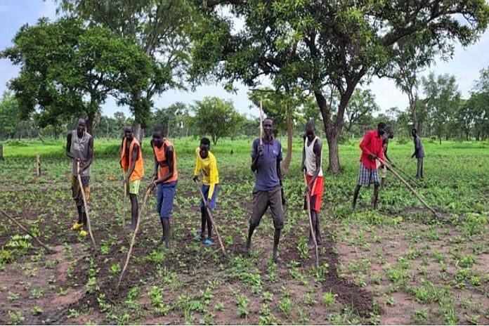 farmers_sudan