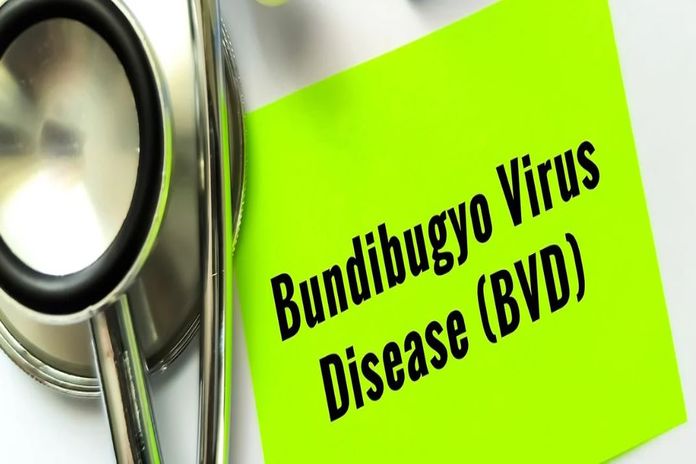 bvd_congo