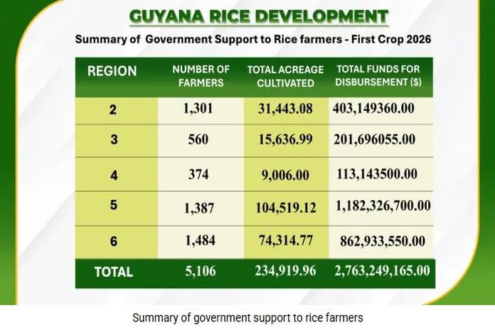 guyana_rice sector