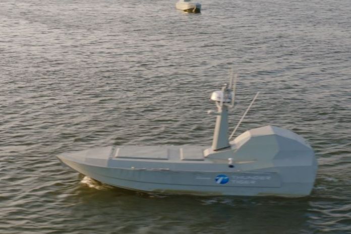 seashark_800